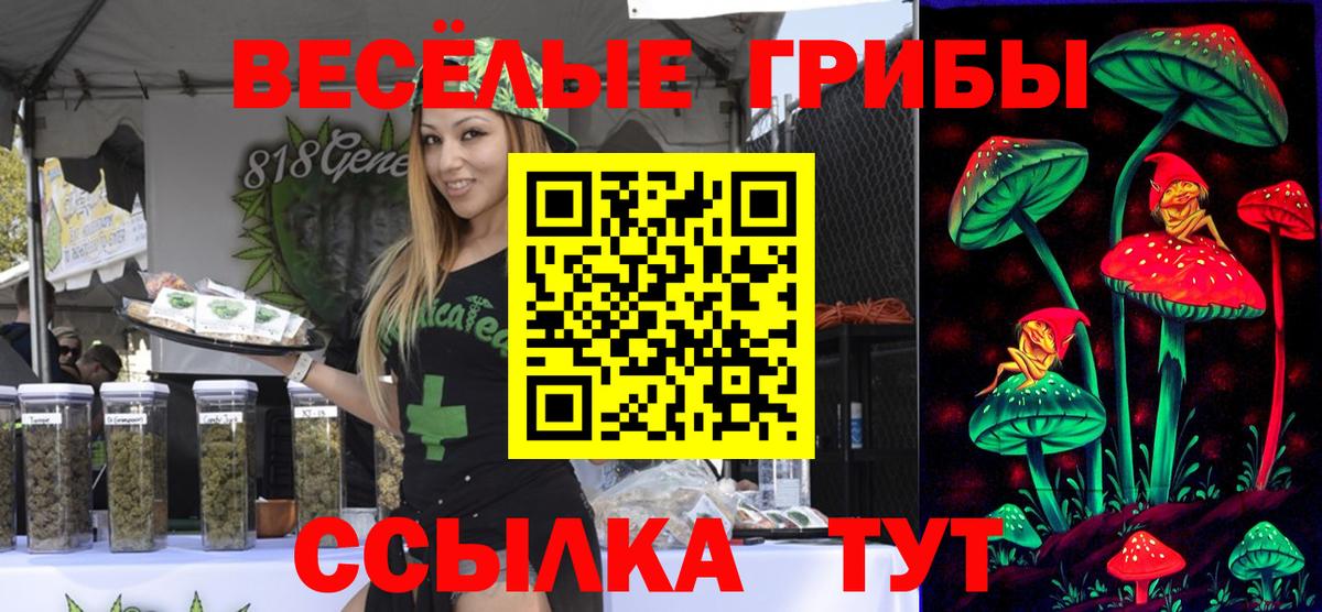 Когалым  Псилоцибиновые грибы Psilocybine cubensis  Вход с VPN 